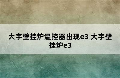 大宇壁挂炉温控器出现e3 大宇壁挂炉e3